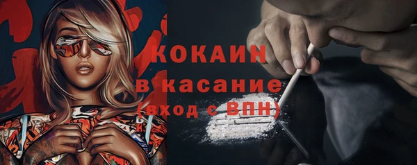 меф Пересвет