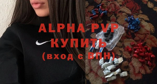 стафф Осташков