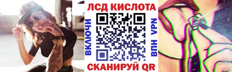 Купить закладки  Каргополь  Наркотические марки 1,8мг 