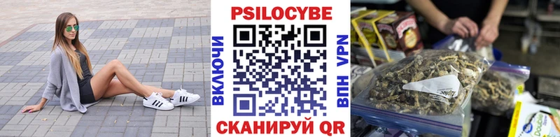 Купить  Каргополь  Галлюциногенные грибы Magic Shrooms 